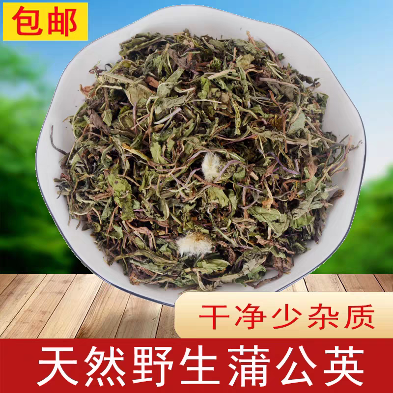 中药材蒲公英野生 另有蒲公英根 天然正品整棵晒干蒲公英茶