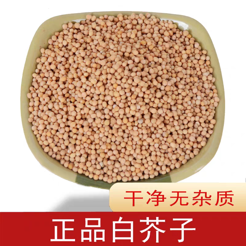 白芥子中药材白介子辣菜子芥菜子无硫白芥籽茶精选优质药材
