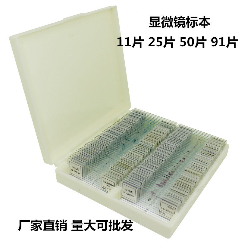 标本切片玻璃儿童生物显微镜