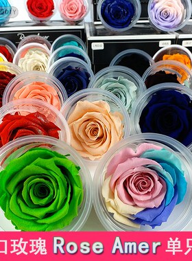 永生花DIY 进口玫瑰RoseAmor单只5/6cm 保鲜花玫永生花材厂家直销