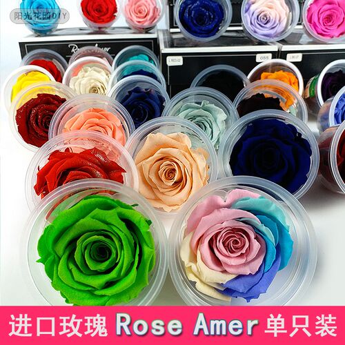 永生花DIY进口玫瑰RoseAmor单只