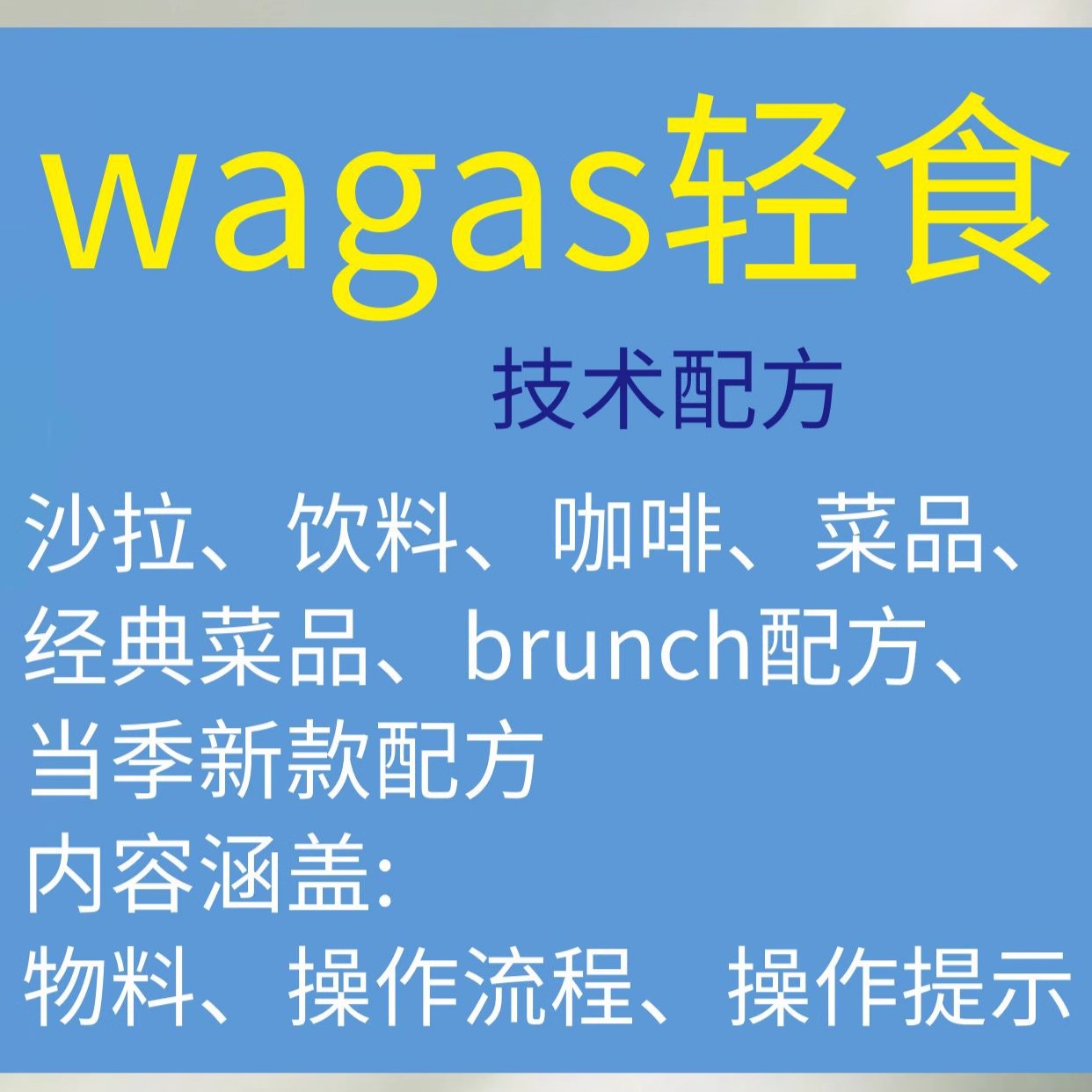 wagas西式轻食简餐技术配方SOP操作流程沙拉经典菜品饮品