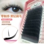 New Xia Xi Si Tian Black Diamond Flat Hair Ghép lông mi giả Mềm và dày Gió thổi Không cảm giác Lông mi trồng không khí - Lông mi giả keo dán mí