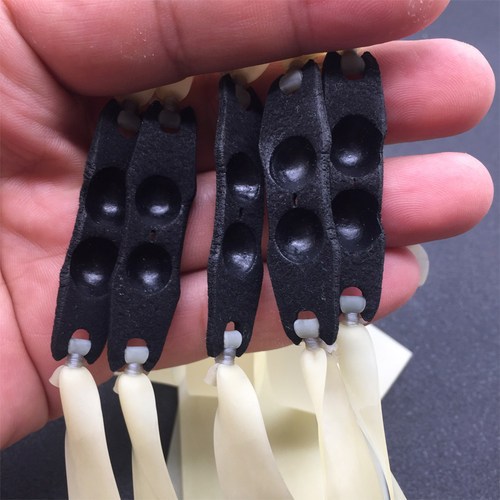 弹弓定位皮兜咪咪皮兜