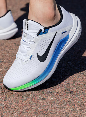 Nike耐克跑鞋男鞋运动鞋 WINFLO 10缓震健身透气轻便跑步鞋DV4022