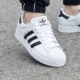 休闲板鞋 阿迪达斯三叶草男鞋 情侣时尚 运动鞋 女鞋 金标贝壳头小白鞋