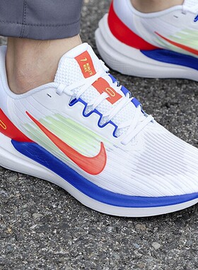 Nike耐克正品男鞋夏季新款网面WINFLO9气垫运动鞋跑步鞋DX3355