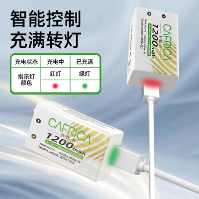 AA通用10000毫安12V2A快充电池