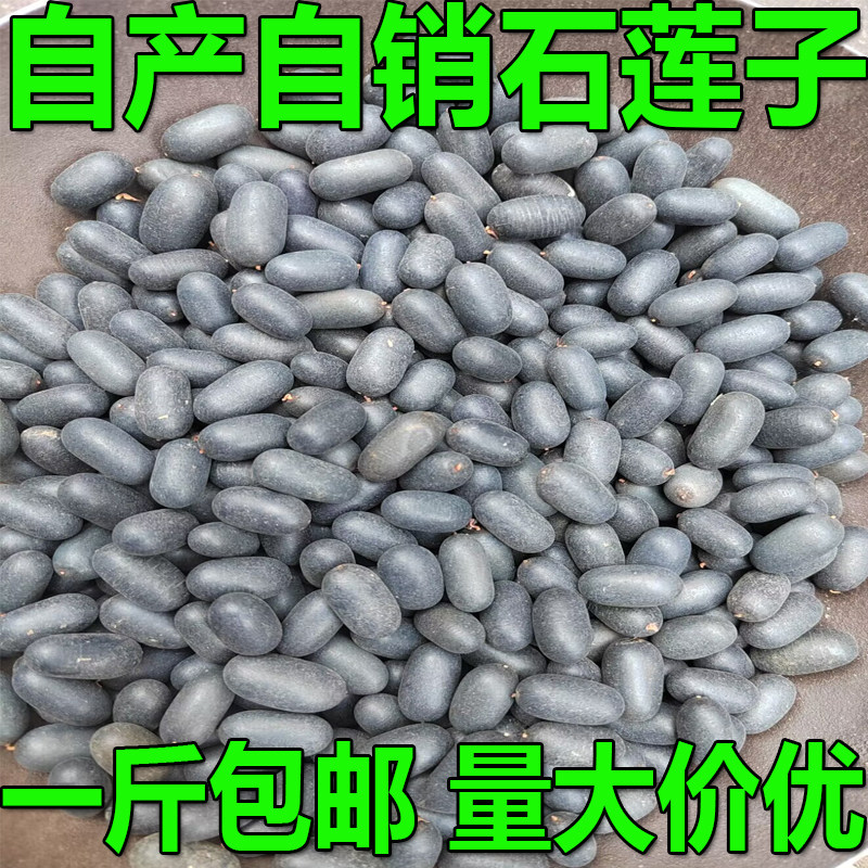 广西无硫石莲子双肾子龙凤籽子苦石莲子纯黑包邮可搭风流果阴阳子