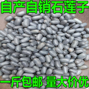 广西无硫石莲子双肾子龙凤籽子苦石莲子纯黑包邮可搭风流果阴阳子