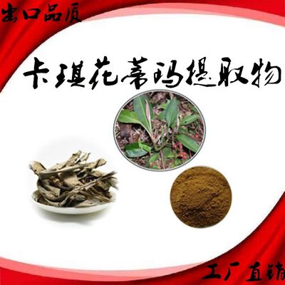 卡琪花蒂玛提取物浓缩精华纯粉