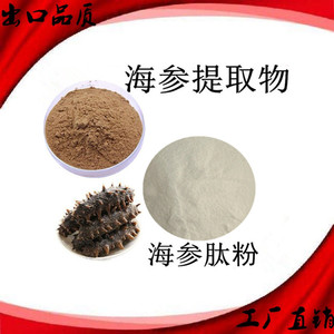 海参提取物海参肽萃取小分子肽