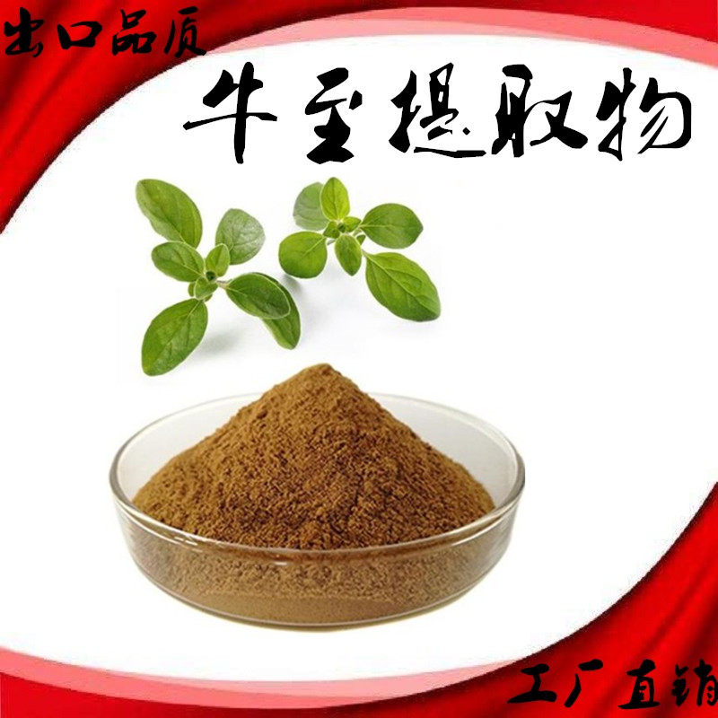 牛至提取物 牛至浓缩粉 土香薷萃取 小叶薄荷 水溶牛至萃取精华粉