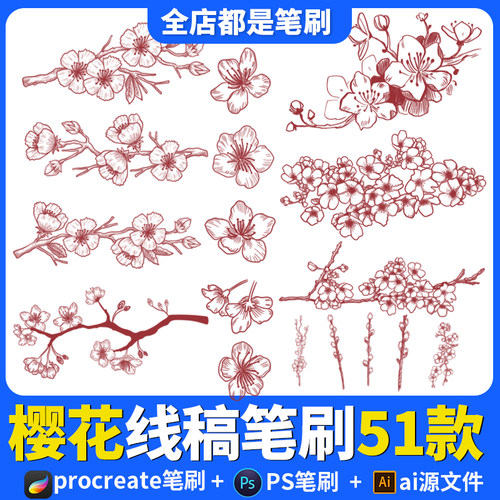 Ps樱花价格 Ps樱花图片 星期三