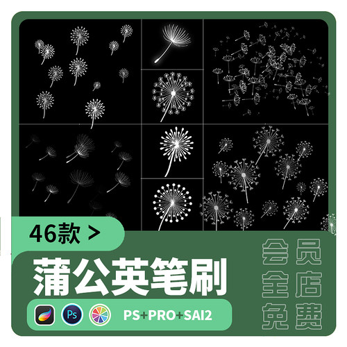 sai2笔刷procreate植物飞絮飘絮蒲公英飞舞PS画笔手绘插画素材