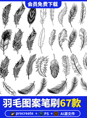 procreate笔刷ps动物羽毛图案线稿唯美飘落ipad白色后期特效素材