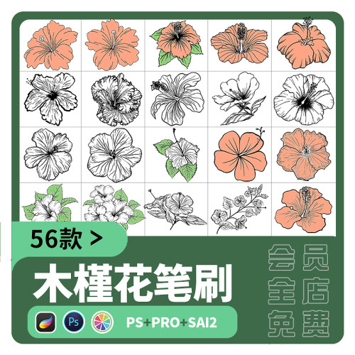sai2笔刷procreate花卉花朵木槿花造型辅助线稿PS画笔绘画素材