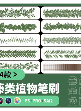 藤蔓sai2笔刷procreate风景插画草木蕨类自然植物PS笔刷花草素材