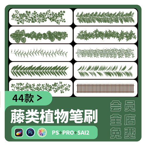 藤蔓sai2笔刷procreate风景插画草木蕨类自然植物PS笔刷花草素材