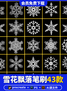 雪花素材procreate笔刷ps下雪白色雪花飘落冰晶剪影元素ipad绘画