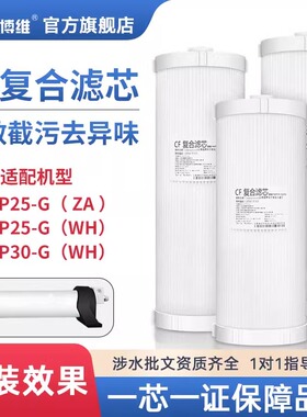 乐博维适配海尔全屋中央管道净水器HWP25-G(WH)/(ZA)30-G(WH)滤芯