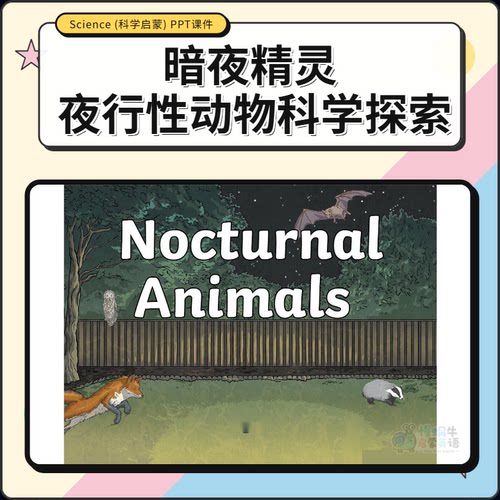 Nocturnal Animals夜行动物自然科学儿童小学英语PPT趣味游戏课件
