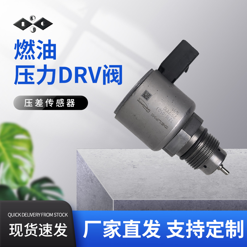 2136382PE DRV适用DELPHI德尔福 BEBR3B01000油轨