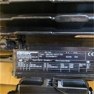 全新德国进口BRINKMANN布曼泵SBG781-MVZ+701议价