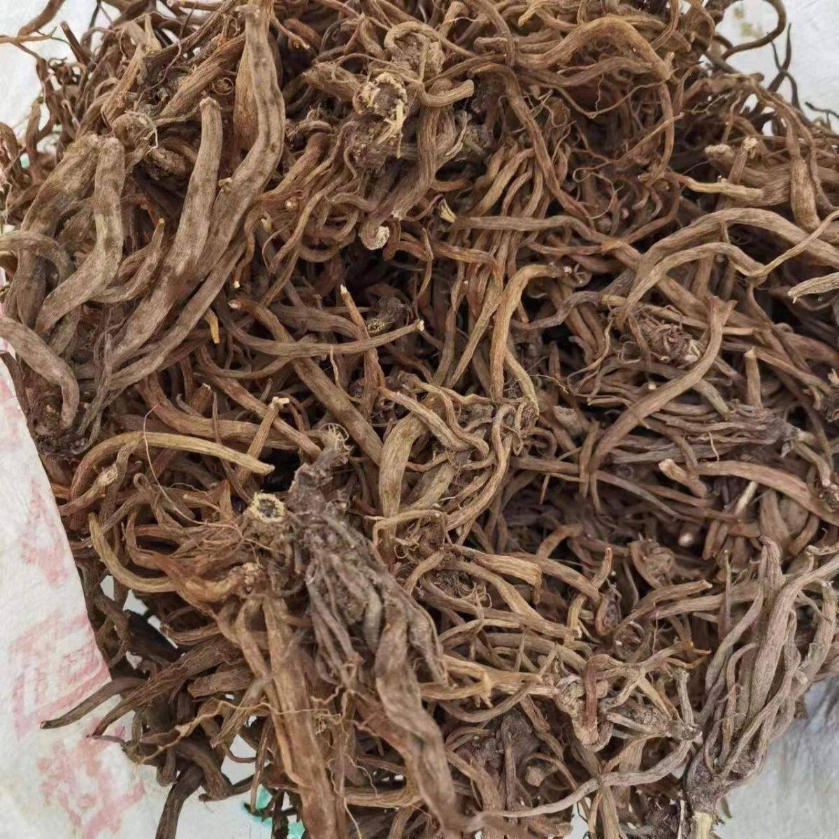 大蓟根中药材 野生大小计根 猪哥刺头干货 野芥菜根 刺蓟 500克