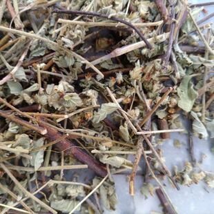 潮汕青草药蟑螂草埔黄草山蟑螂山油虫根中草药山胶纸500克