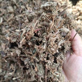 潮汕青草药 野生山葡萄 葡萄藤 大风藤干货鸟葡萄 水葡萄 500克