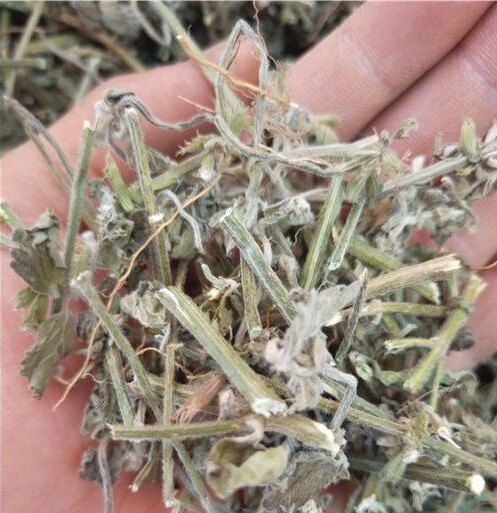 野生白花 茶匙红 塔仔草 白花 茶时红 节节花 白绒草 老虎花500g