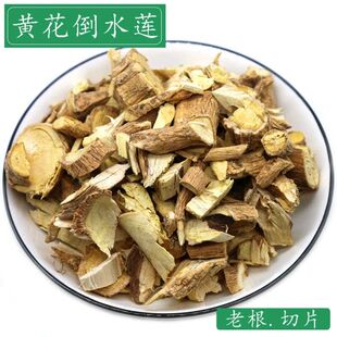 黄花倒水莲干切片倒吊黄花药材野生黄花倒水莲根参观音串根500克
