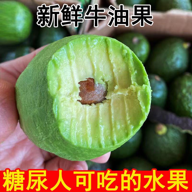 糖尿人可以吃的水果新鲜牛油果鳄梨三高血糖孕妇中老年控糖旗舰店