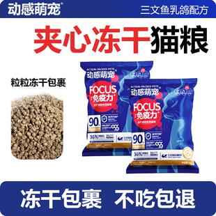 动感萌宠三文鱼乳鸽猫粮全价成幼猫鲜粮益生元发腮呵护玻璃胃通用