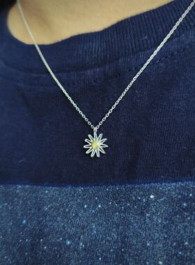 特价一条 小花925纯银雏菊项链女ins风简约百搭锁骨链气质项链