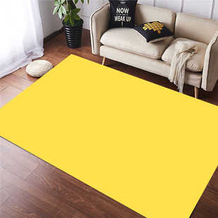 高级感皮革pvc入户门地垫防水防滑免洗可裁剪防潮加厚进门口纯色