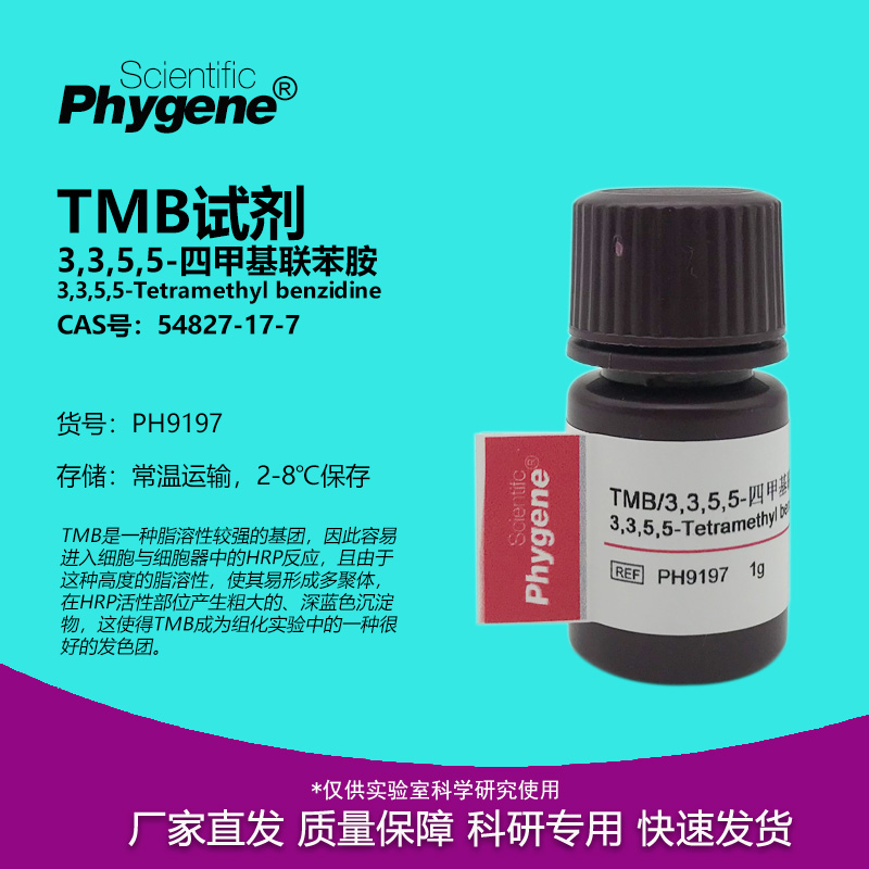 TMB试剂3,3,5,5-四甲基联苯胺
