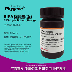 RIPA裂解液 强/中/弱 细胞组织裂解液 蛋白提取实验试剂 100ML