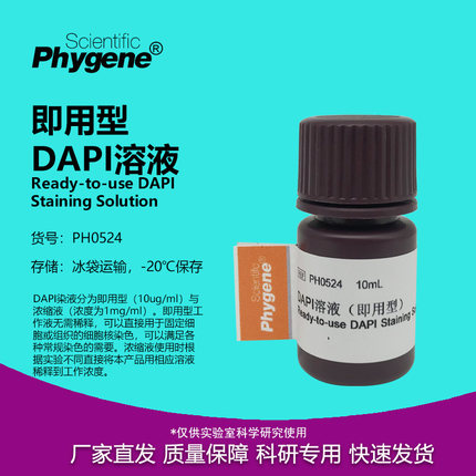 DAPI溶液 10ug/mL 即用型 DAPI Staining 实验 [PH0524 PHYGENE]