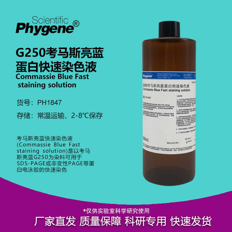 考马斯亮蓝快速染色液 G250染色液 100mL/500mL 电泳专用 PHYGENE,办公设备/耗材/相关服务,其它,淘宝优惠券,粉丝福利购,淘宝优惠卷