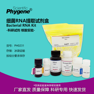 细菌RNA提取试剂盒 50T/100T 核酸提取 [PH0231 PHYGENE]
