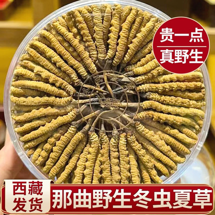 西藏那曲野生冬虫夏草官方旗舰店野生虫草正品干货礼盒装野生虫草