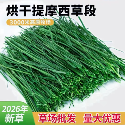 岷县北提烘干提摩西草段，兔子龙猫荷兰猪专用草料，2026年新