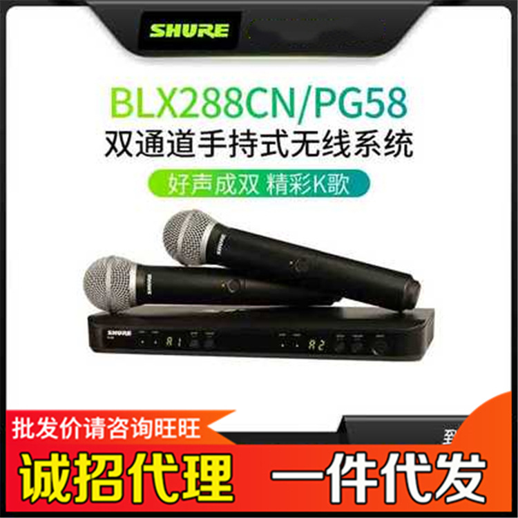 Shure/舒尔BLX288/PG58 抖音一拖二无线 Shure/舒尔 SVX288/PG58 影音电器 麦克风/话筒 原图主图