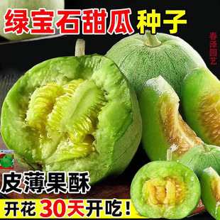 香瓜种子甜瓜种籽甜香瓜籽种薄皮甜瓜种子脆瓜早熟高产绿宝石甜瓜