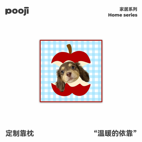POOJI宠物定制抱枕沙发靠枕靠垫小狗头像定制双面印图案原创设计