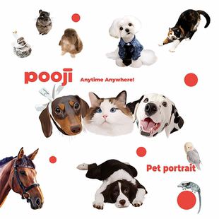 POOJI私宠物画像定制纯手绘猫咪狗狗异宠设计原创画风电子版