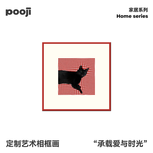 POOJI宠物定制艺术相框画比熊照片红色波点家居装饰生日礼物款款