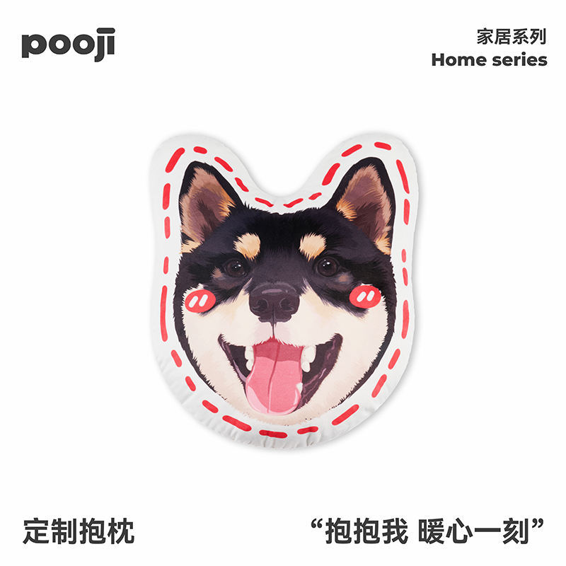 POOJI宠物定制抱枕不规则可爱双面原创设计猫咪狗狗来图DIY礼物